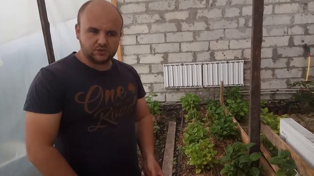 Як доглядати за гортензією? Полив? Удобрення? Обрізка? Мольчування? / Как ухаживать за гортензией? смотреть онлайн