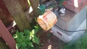 Уничтожаем кротов серной шашкой