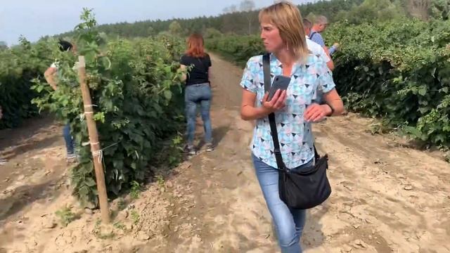 У пана Метека . Маравилла и Маргарита смотреть онлайн