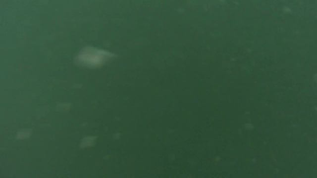 Мой первый сплав по Гангу. Таких валов я раньше не видел. смотреть онлайн