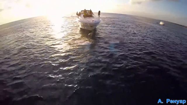 А. Ренуар - ,,Я поднимаю руки,, для Youtube смотреть онлайн