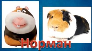 !ТАЙНАЯ ЖИЗНЬ ДОМАШНИХ ЖИВОТНЫХ В РЕАЛЬНО ЖИЗНИ!Мультики для детей 2022