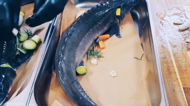 Туризм и Приключения