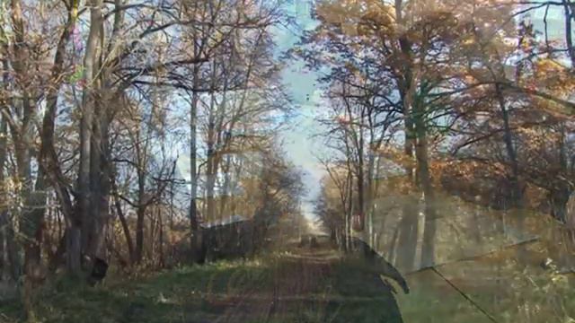 Заседание оргкомитета в селе Грузино смотреть онлайн