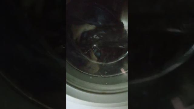 Mini presentazione e lavaggio lavatrice Indesit смотреть онлайн