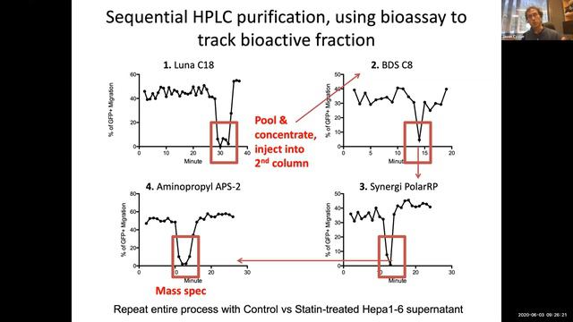 "Cues guiding and restraining B cell responses" by Dr. Jason Cyster смотреть онлайн