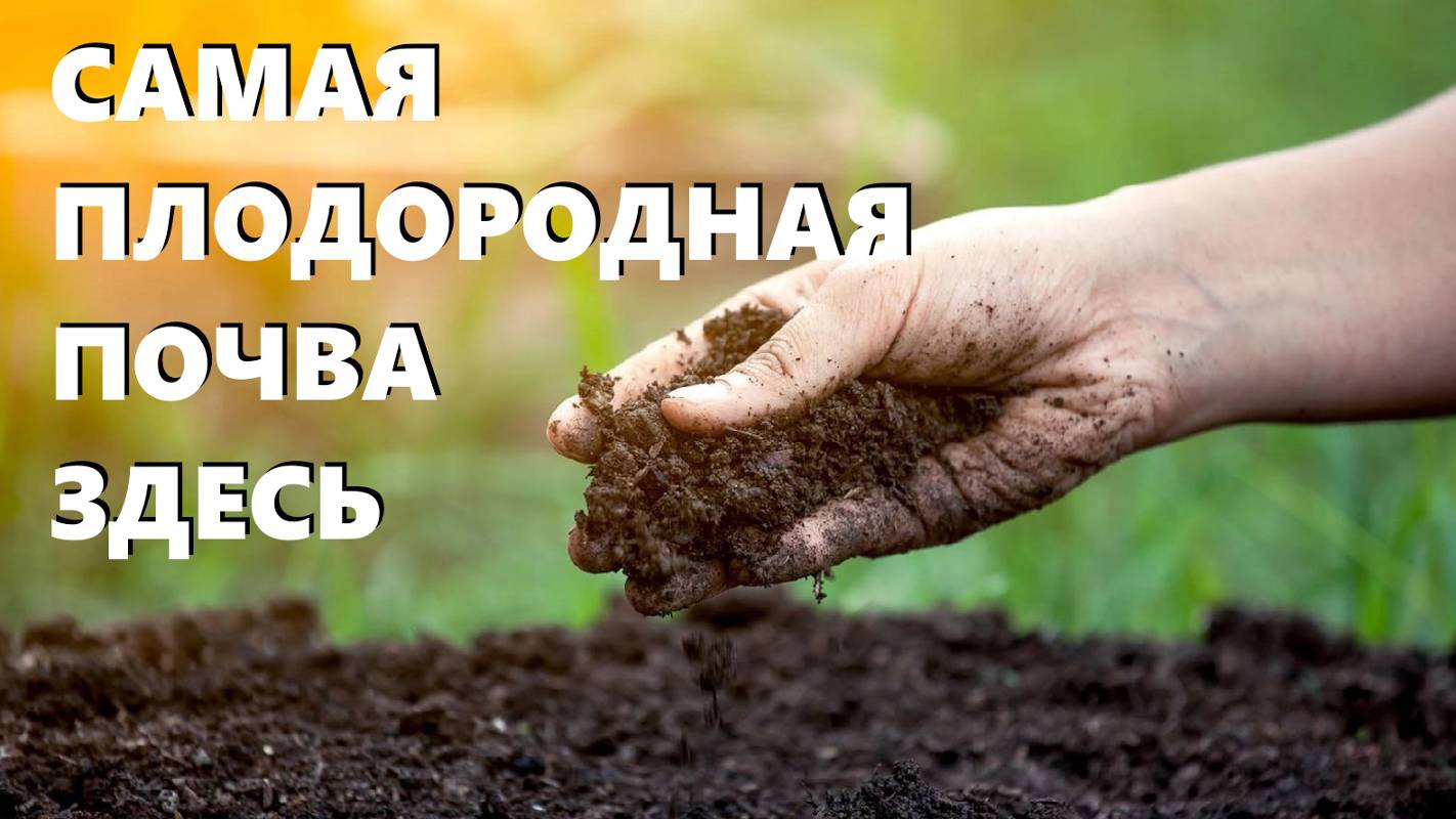 Как я повышаю плодородие земли после сбора урожая. Что сделать с грядкой осенью