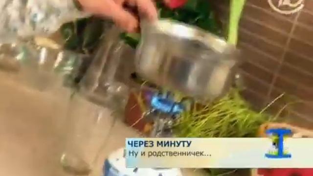 Каланхоэ при гастрите. Народное средство смотреть онлайн