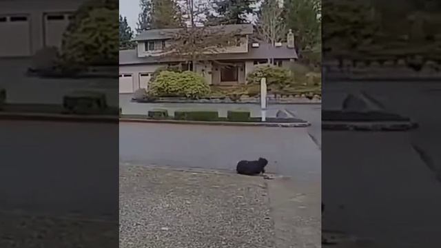 не дождался??? смотреть онлайн