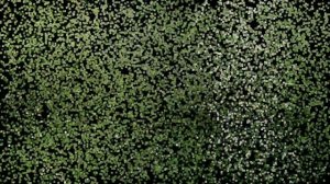 Insulator Hunting | Охота на Изоляторы | #2