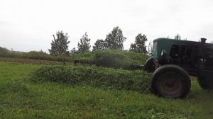 Заготовка силоса в домашних условиях без измельчения(эксперимент).Полный цикл заготовки.