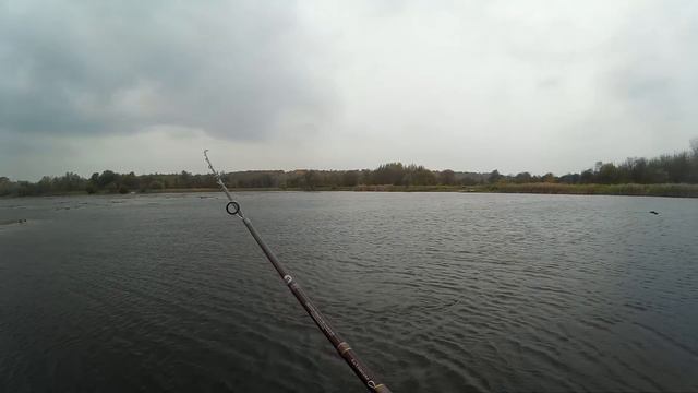 Tsuyoki Watson 110 SP