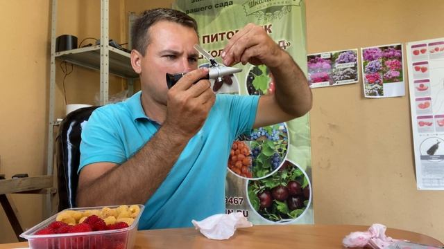 Замеряем сахар в малине. смотреть онлайн