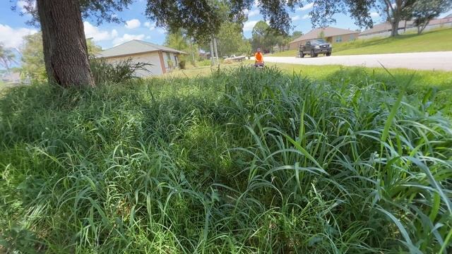 I HAD TO CALL THE COPS while mowing this RANDOM STRANGERS neglected yard for FREE! смотреть онлайн