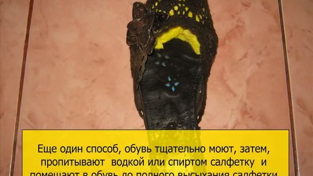 Домоводство