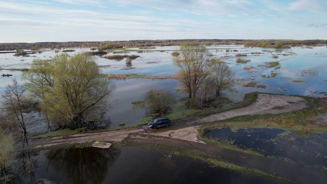 Разлив реки Вожа в 2022 году смотреть онлайн