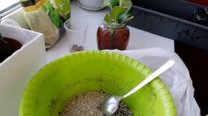 Комнатные цветы. Антуриум погибает, спасаю, залила