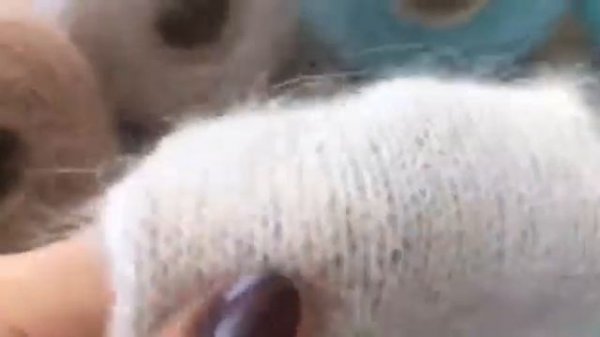 Обзор итальянской бобинной пряжи 80% Ангора на полиамиде Belanger France от Filati Biagioli MALO