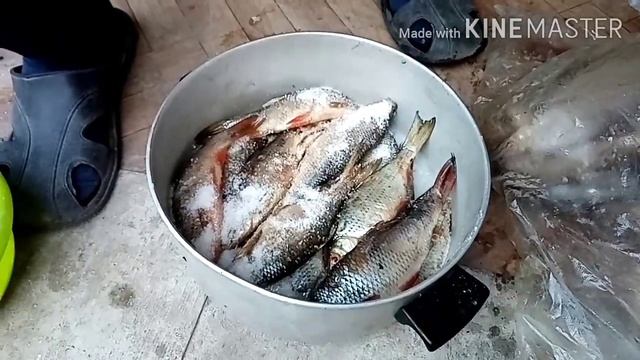 Мода и Стиль для Детей и Подростков