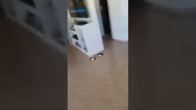 мамалыга рецепт от Игоря смотреть онлайн