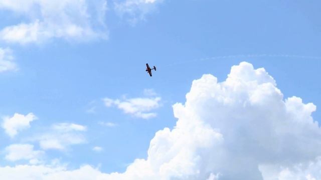 SebArt SU 29s Flight in PhoenixRC simulator. смотреть онлайн
