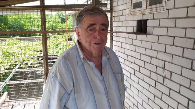 В гостях у Михаила Михайловича голубевода-селекционера.Николаевские голуби Донецка (3.07.21г) смотреть онлайн