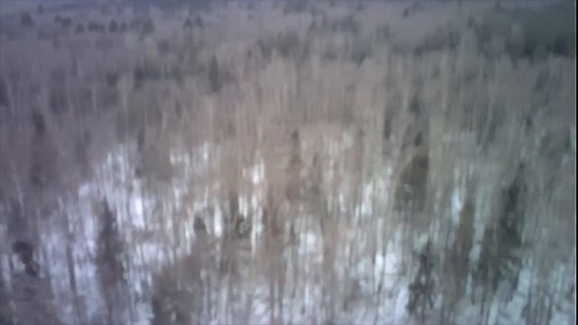 ПОИСК МОНЕТ И КЛАДОВ НАХОДКА ПОКАЗЫВАЕТ СВОЮ ИСТОРИЮ VIDEOS DISCOVERY SHOWS ITS HISTORY смотреть онлайн