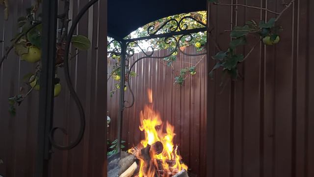 1000083058.mp4Костер на исходе лета смотреть онлайн