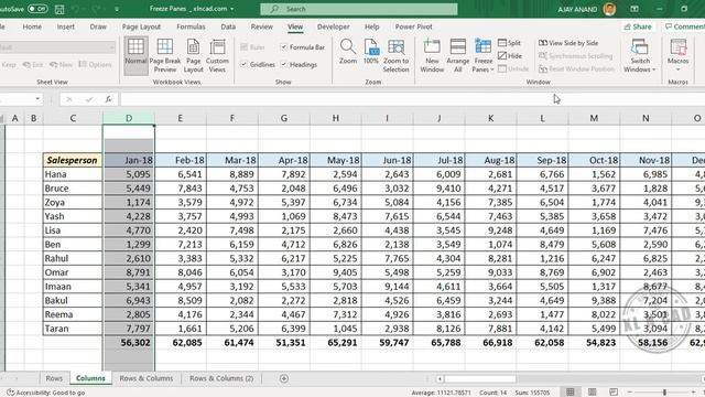 Lock Rows and Columns in Excel - Malayalam Tutorial смотреть онлайн