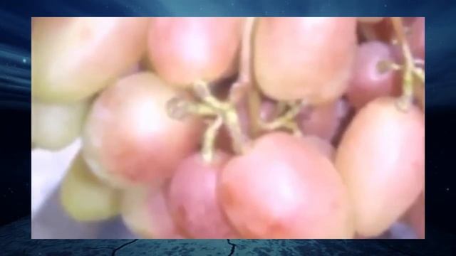 Виноград Ксения смотреть онлайн