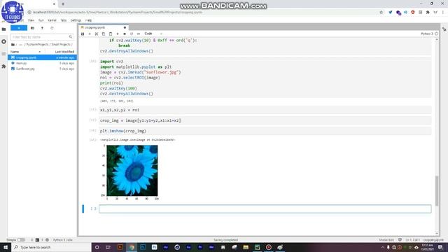 Crop and paste using Mouse event in python (Urdu) смотреть онлайн