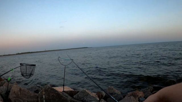 Рыбалка в Спб.Дамба Фидер и Чупа-Чупс смотреть онлайн