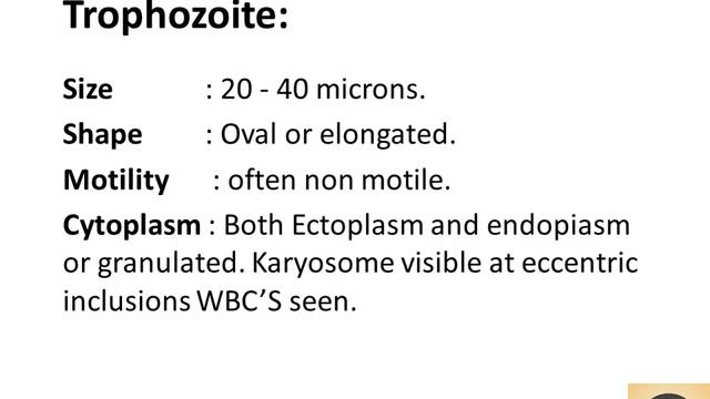 PARASITOLOGY E COLIENTAMOEBA COLI / Parasitology Notes / Part-27 / #LifeScienceMCQs смотреть онлайн