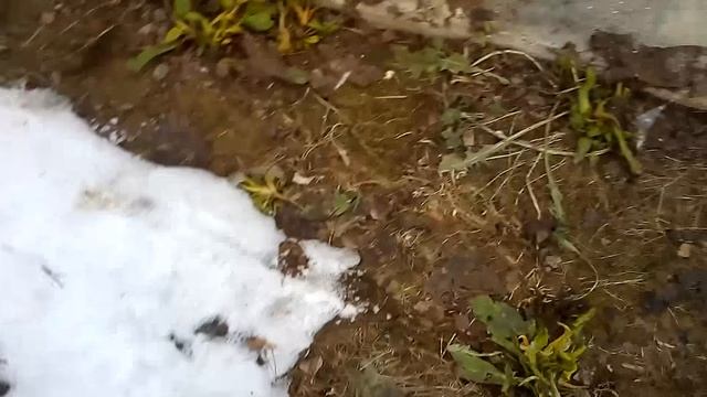 Интернет В магазин для Онлайн кассы и Терминалов смотреть онлайн