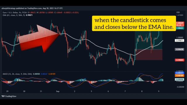 Easy and powerful MACD strategy with 178% profit for forex and crypto смотреть онлайн