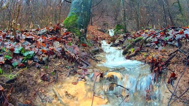 Шум ручья, звуки воды для сна, йоги, медитации смотреть онлайн