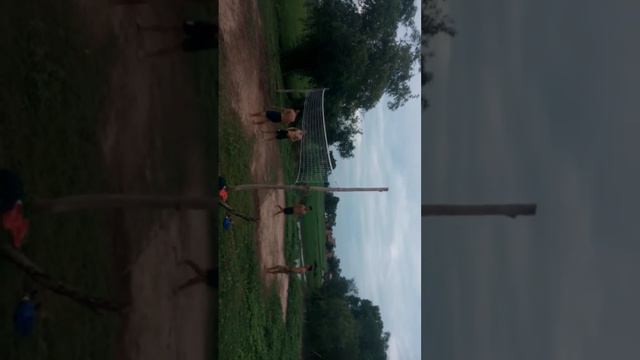 Bong chuyen go ngai set 4 chai.....ti tuân tung rim vr sag anh tam ti смотреть онлайн