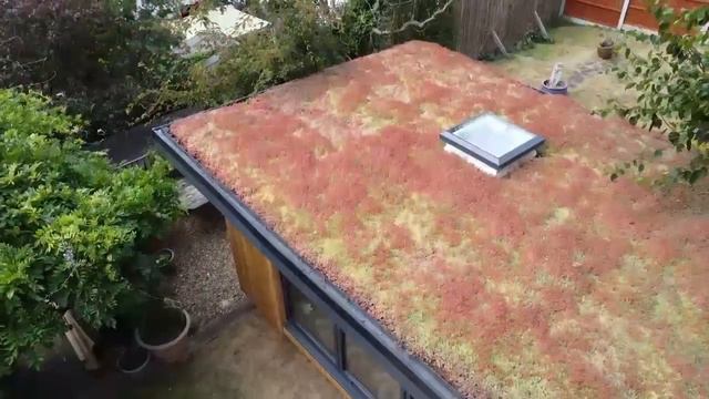 florist studio drone смотреть онлайн