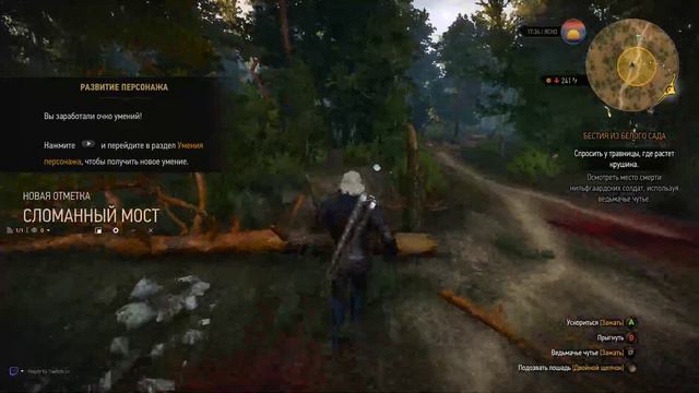 The Witcher 3: Wild Hunt начало истории смотреть онлайн