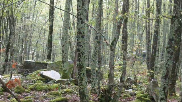 Путешествие-сказка в Геленджик смотреть онлайн