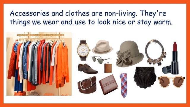 Non-Living Things #learningvideos #nonlivingthings смотреть онлайн