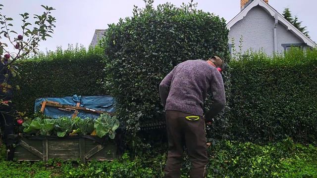 Pricing work Make Money!" #gardening #garden #business смотреть онлайн
