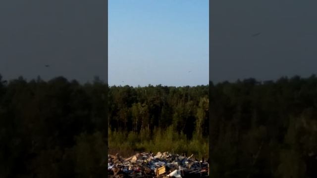 Якутск,свалка,очень много орлов смотреть онлайн