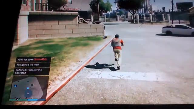 Pussy modding смотреть онлайн