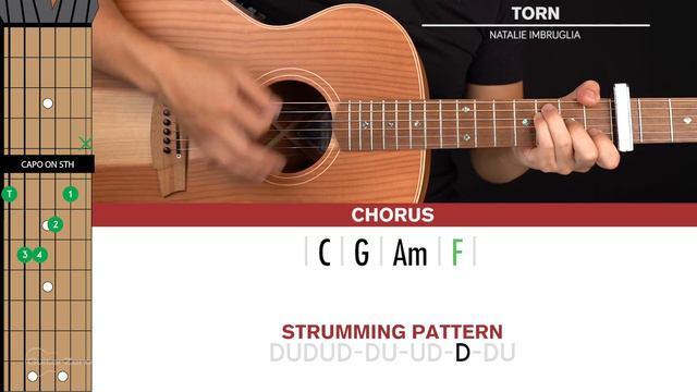 Torn Guitar Cover Natalie Imbruglia 🎸|Tabs + Chords| смотреть онлайн