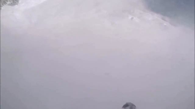 ... Снежное Фламенко ... Все ... едем в Шерегеш ...!!! смотреть онлайн