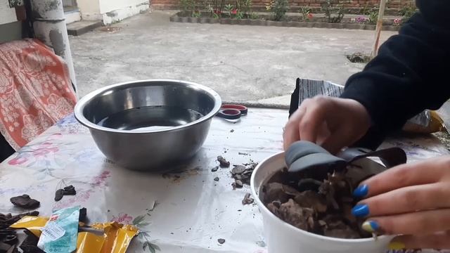 пересадила орхидею.Навела порядок смотреть онлайн