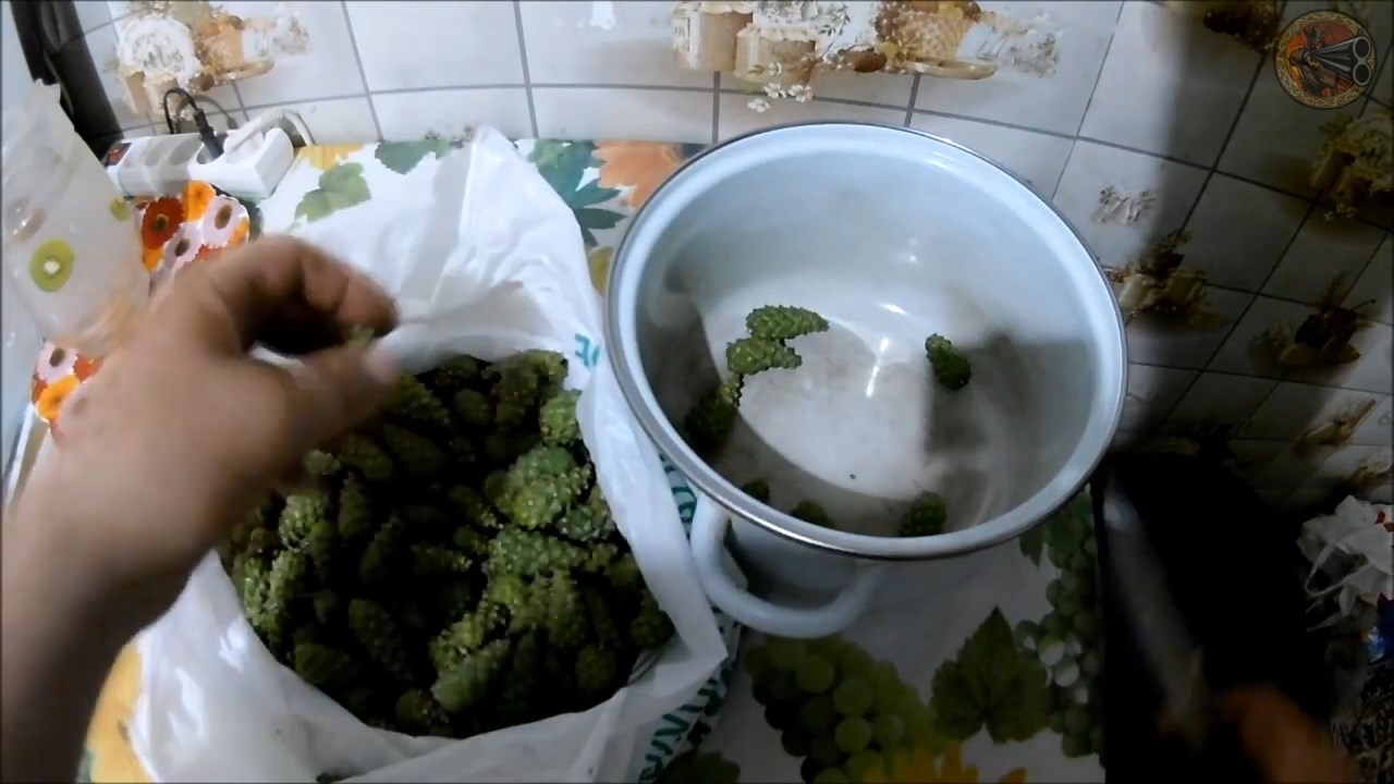 Варенье из сосновых шишек (Будни охотника и рыбака) смотреть онлайн