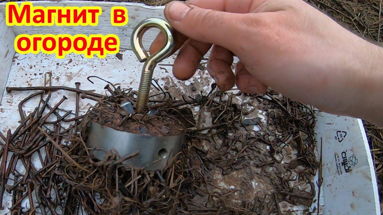 Прочесал огород поисковым магнитом смотреть онлайн