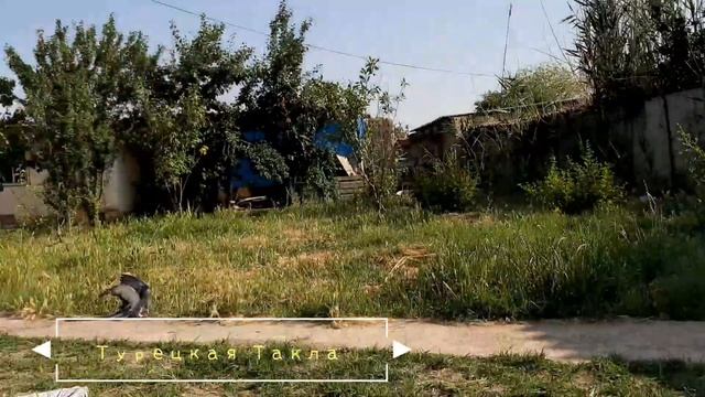 Приучаю_Турецких_Голубей " Турецкая Такла" "2023",teach_turetskih_golubey " Turkish Takla"Pigeons!! смотреть онлайн